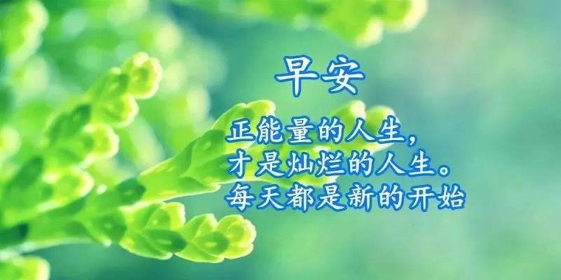 皮一点的早安，更有活力（25个幽默短句）