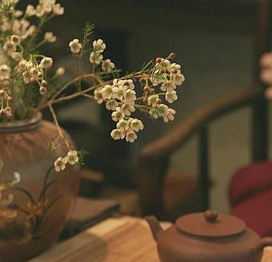 茶香四溢——一种唯美的生活情趣