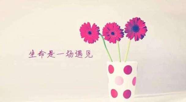 幸福的花园——唯美句子篇