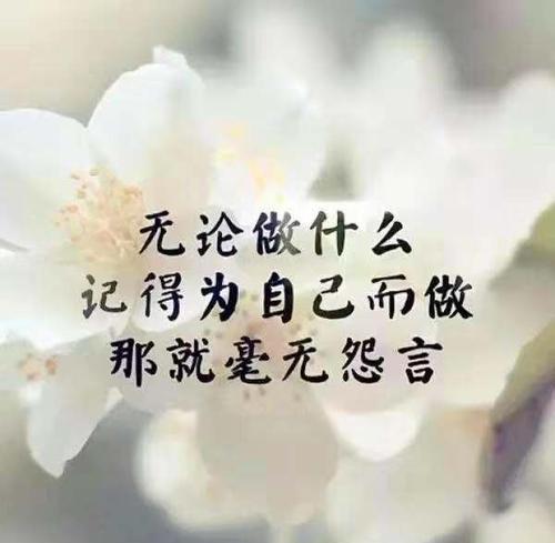 孤寂的内心在默默地呐喊（孤寂的内心在默默地呐喊）