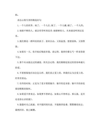 挣扎与追求（挣扎与追求）