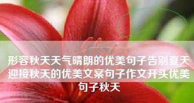 秋天的美丽缤纷（秋天的美丽缤纷）