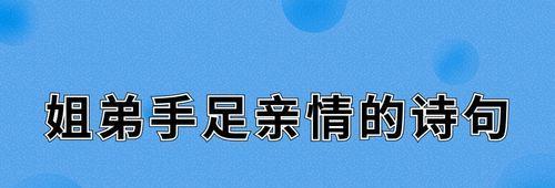 亲情之珍——以唯美短句表达亲情的珍贵