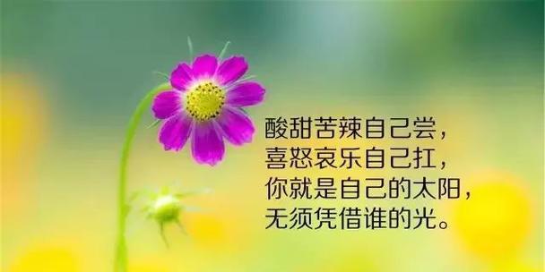强悍人生，绽放自我（困境里成长）
