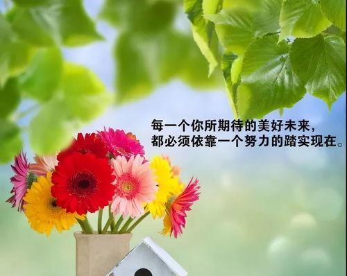 美好句子说说心情（一份唯美的礼物）