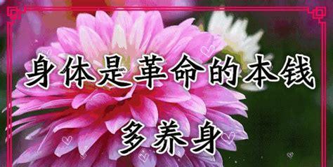 篇一、快乐如梦，幸福如影