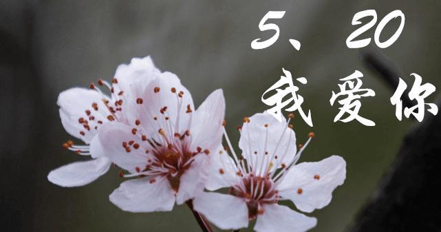 表白的艺术（用唯美句子表达爱意）
