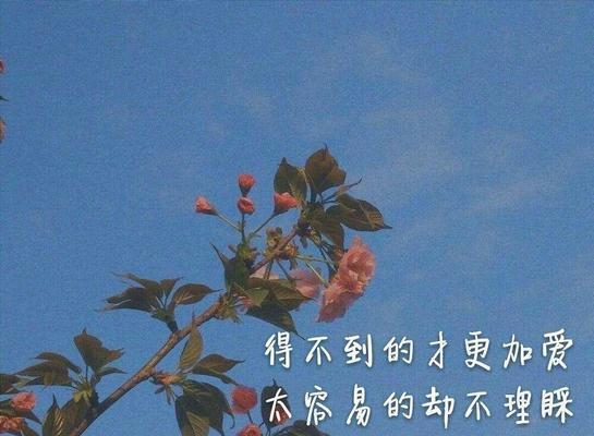 毕业季，让我们一起回忆那些温暖时光吧（毕业季）