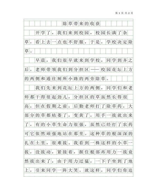 小满与芒种作文600字（《小满芒种间的青春篇章》）