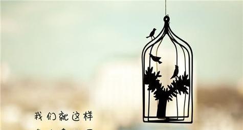 怀旧回忆——毕业伤感（唏嘘别离）
