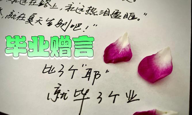 跨越时空的留言——2024毕业生的唯美留言（以唯美句子为主）