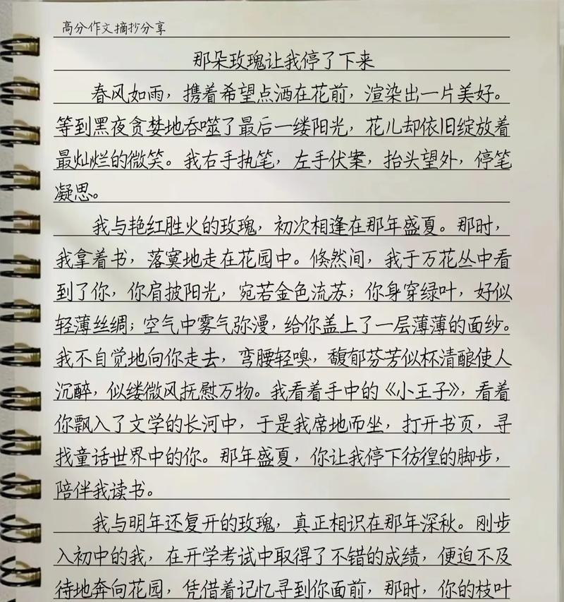 夏至玫瑰作文特作文怎么写？（《夏至玫瑰，青春绽放》）