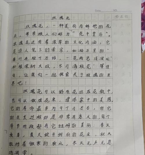 夏至玫瑰作文特作文怎么写？（《夏至玫瑰，青春绽放》）