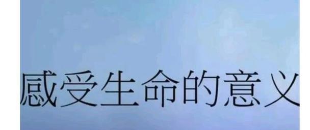 寻找人生价值（探索人类存在的意义）