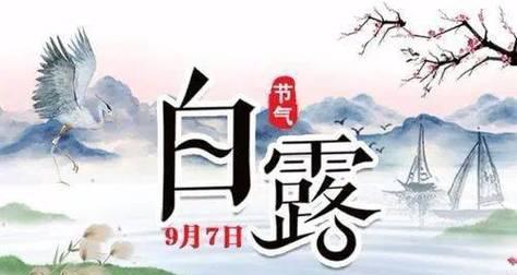 白露温情祝福——以2024白露节气为主题