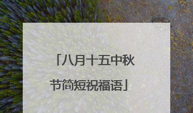 共赏月光，团圆幸福（共赏月光）