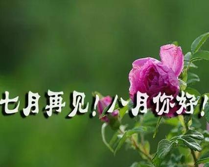 盛夏美景（盛夏美景）