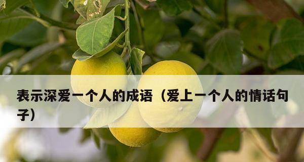 从爱情中感受到的美好（从爱情中感受到的美好）