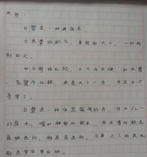 以端午节小白鹭的作文为话题的作文怎么写（《端午佳节，少年与白鹭的缘分》）