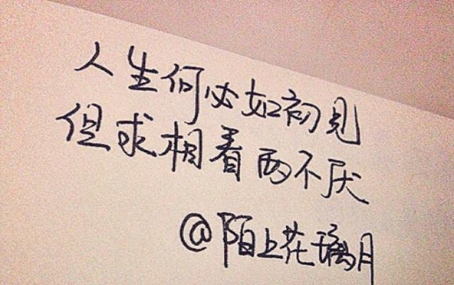 爱情哲理伤感句子摘录（唯美伤感的爱情篇章）