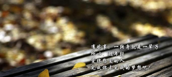 《爱与生命之美》