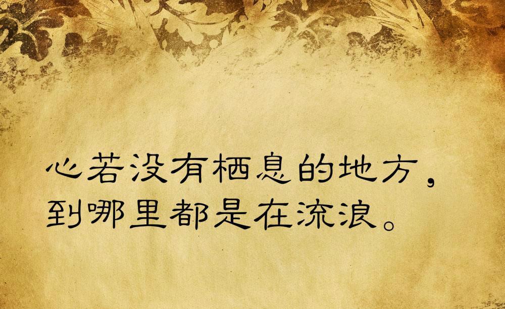 《爱与生命之美》