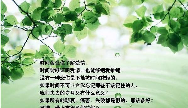 爱情的浪漫：慢慢沉浸于温馨幸福的海洋