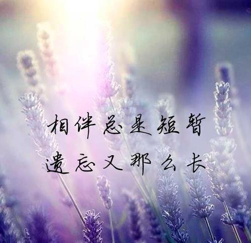 爱情未尽，心中仍然爱着你