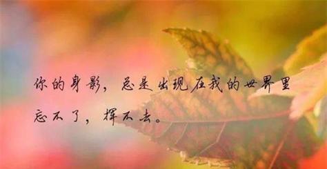 爱情的伤痛（那些唯美又伤感的句子）