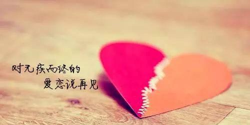 浪漫又唯美的爱情语录，感受爱情的深度（浪漫又唯美的爱情语录）