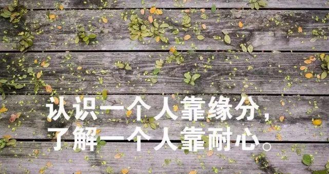 《爱情的魔力》