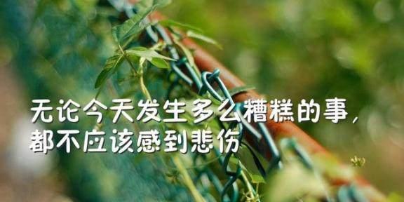 爱情的力量（以希望为名）