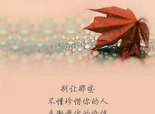 珍惜爱情，不要让它轻易流逝（唯美句子）