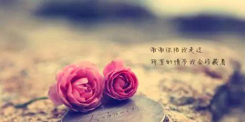 爱恨情仇，纵使离合悲欢，但情感依旧殷切（爱恨情仇）