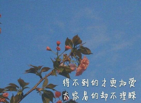 元气满满，美丽可爱（用唯美的句子）