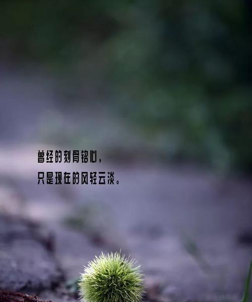 感悟穷富，寻找心灵的平衡（用心感受贫穷和富裕）