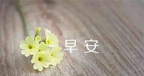 清新如雨，温暖如晨——雨天早安暖心话（唯美短句）