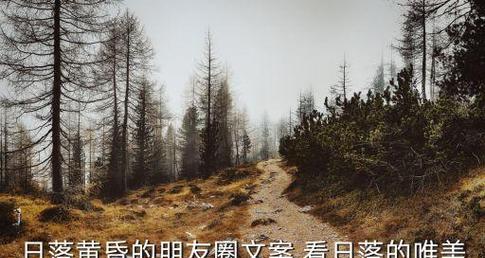 追寻落日余晖，感悟人生之美（追寻落日余晖）
