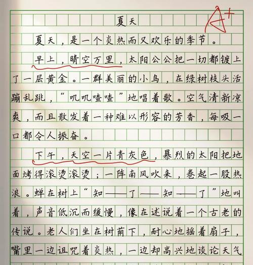 小学生如何写夏至的故事作文？（《夏至的智慧之光》）