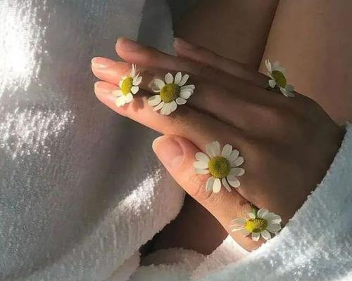 爱自己，从容而美（用唯美句子告诉你如何好好爱自己）