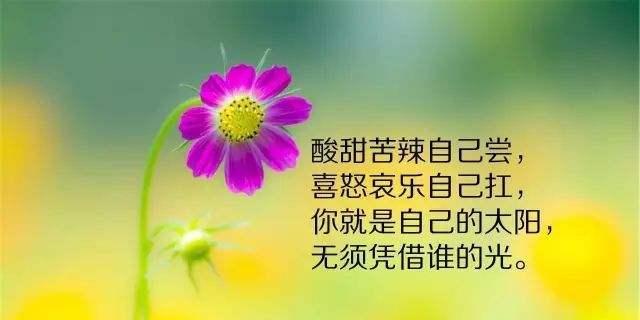 岁月悠长，唯美的变老之美（慢慢变老）