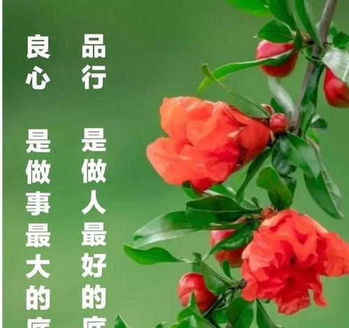 人品与底线，美丽的灵魂（用真诚和善良装点生命）