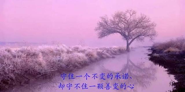 重逢时，岁月静好（老友重逢的唯美短句）