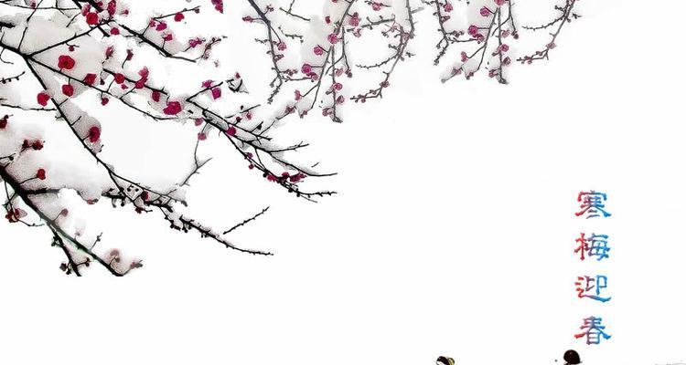 鹊舞枝头，花落寂夜（鹊舞枝头）