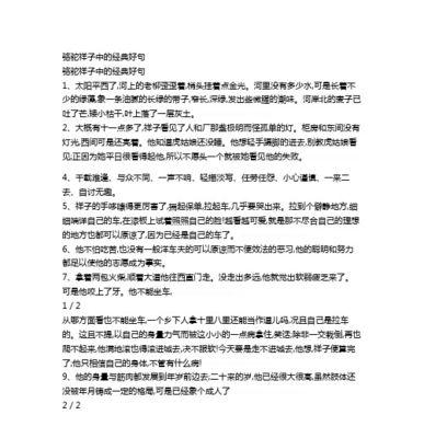 祥子（解析《骆驼祥子》第一章的好词好句）