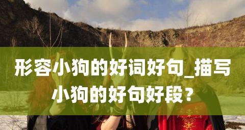 萌犬走天下（25个你不知道的小狗秘密）