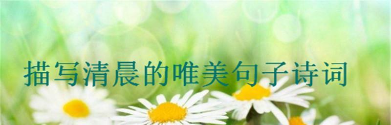 清晨鸟鸣，为世界点亮希望（生命之歌响彻大地）