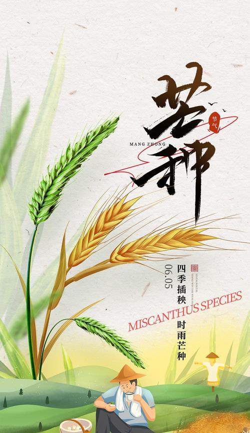 有关芒种的微作文200字（《麦香浓时，青春无悔——芒种之约》）