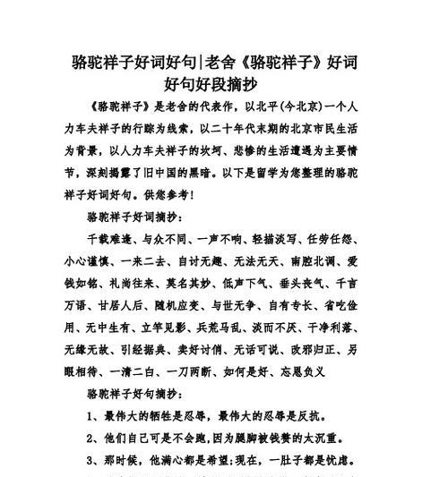 俗世奇人的眼中世界（探寻独特的思维之旅）
