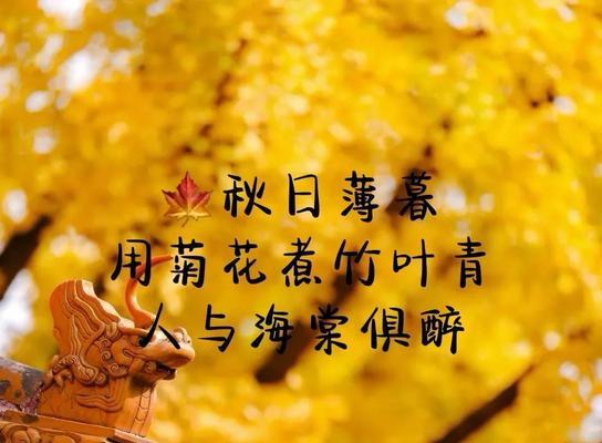 秋之韵——25首唯美诗句